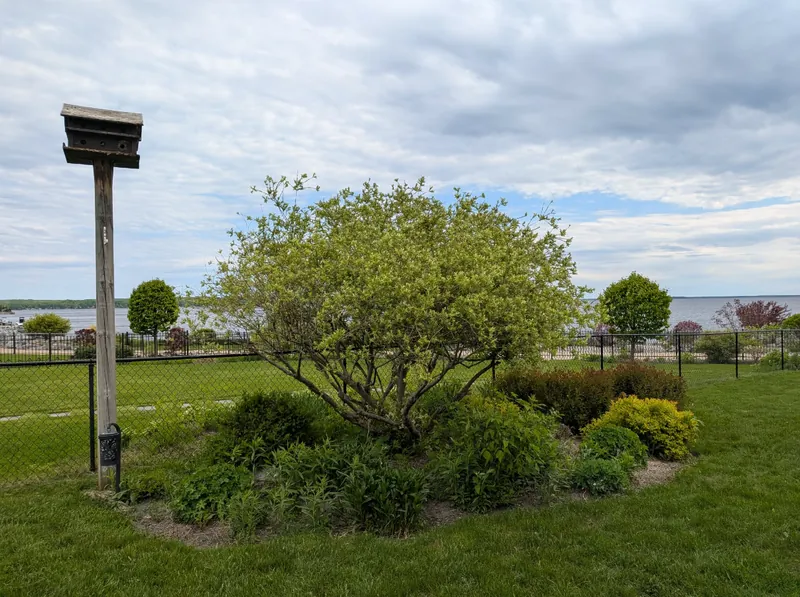 Garden bed with birdhouse before the spring garden bed cleanup